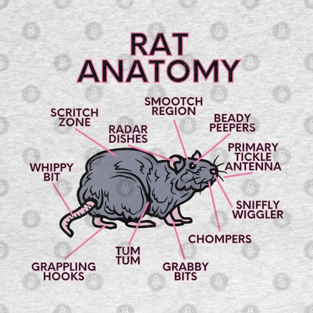 Rat anatomy by Wiferoni & cheese